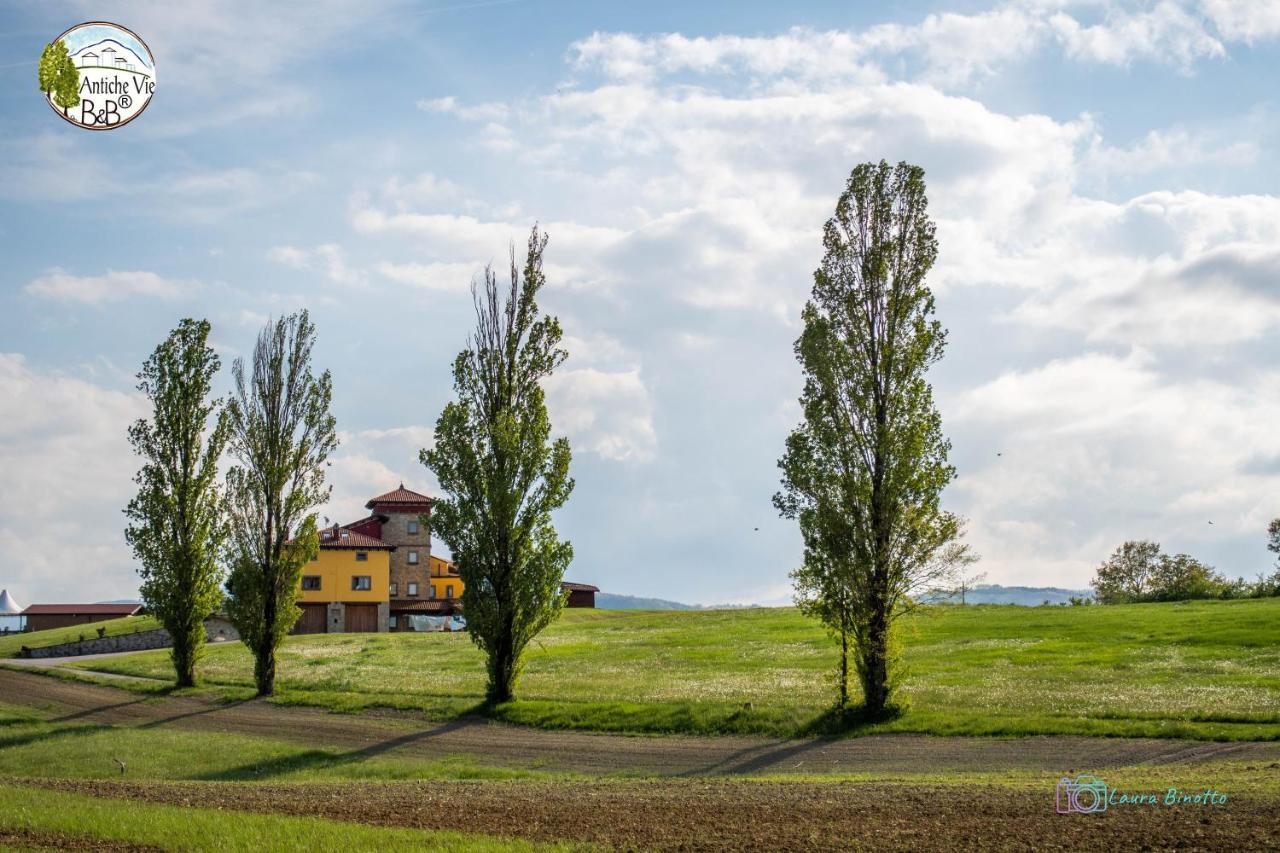Antiche Vie B&B Serramazzoni Экстерьер фото