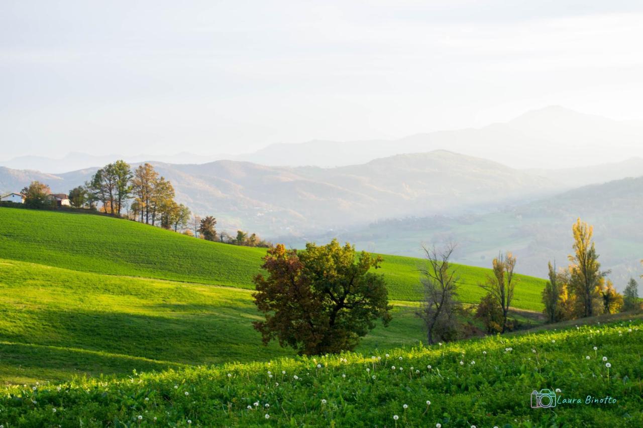 Antiche Vie B&B Serramazzoni Экстерьер фото