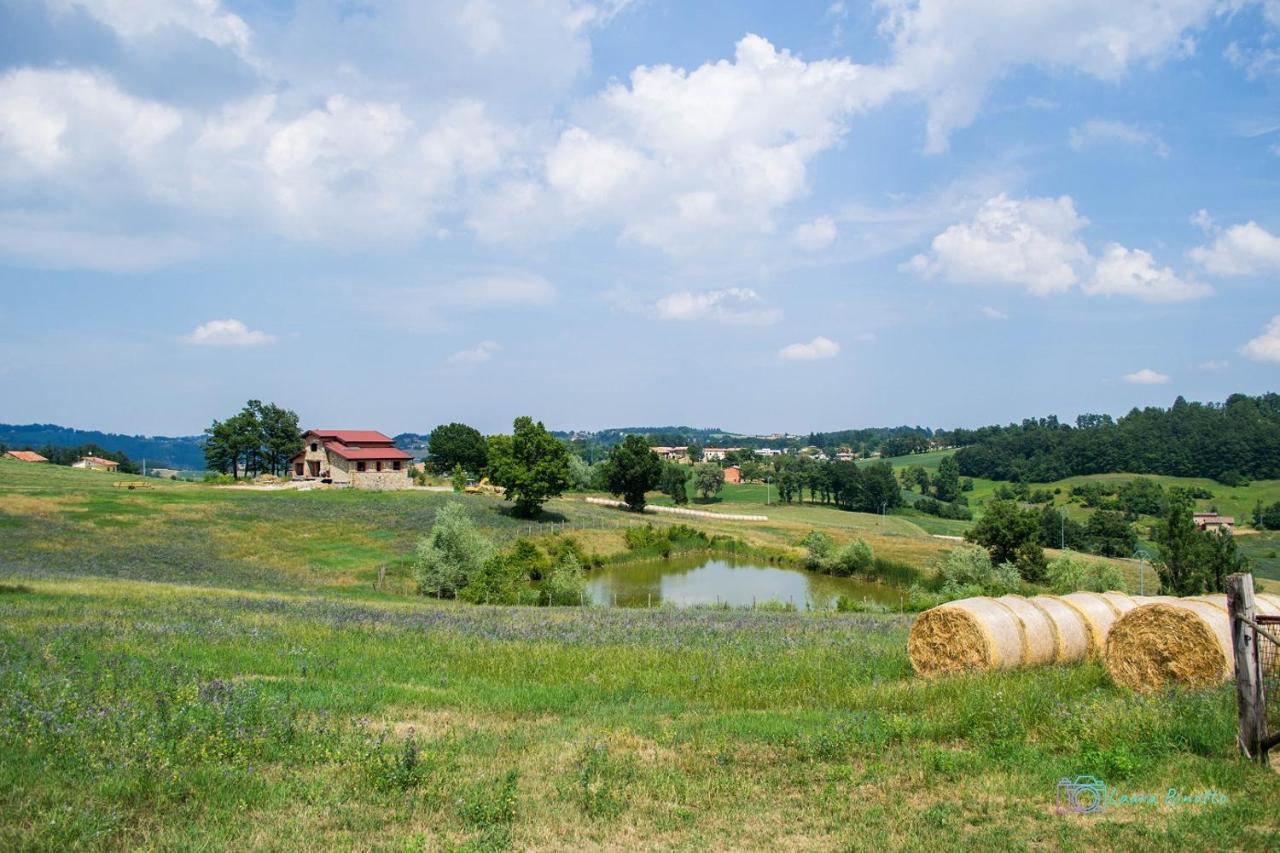Antiche Vie B&B Serramazzoni Экстерьер фото